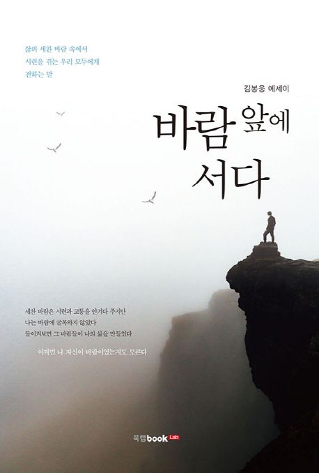 바람 앞에 서다 | 김봉웅 - 교보문고