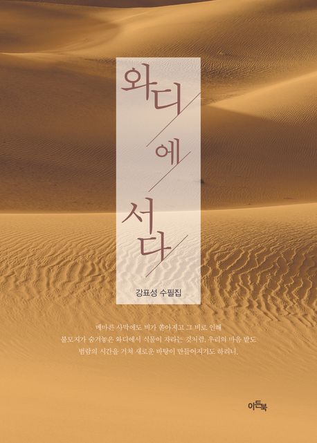 와디에 서다 | 강표성 - 교보문고