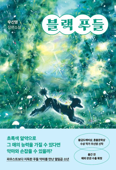 블랙 푸들