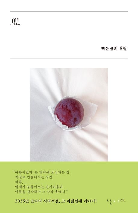 『뾰』, 시/에세이 분야 39위, 책 추천! 잃어버린 여름을 다시 만나다