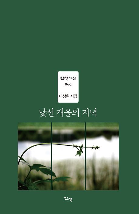 낯선 개울의 저녁 대표 이미지