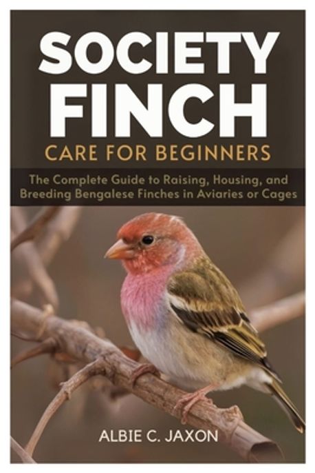 Society Finch Care for Beginners | C. Jaxon, Albie - 교보문고