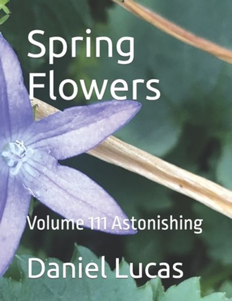 Spring Flowers | Lucas, Daniel - 교보문고