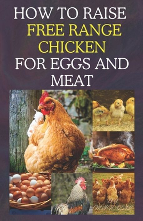 How to Raise Free Range Chicken For Eggs and Meat | Fazil, Muhammad ...