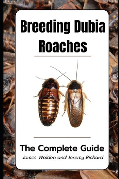 Picture of How to Breed Dubia Roaches (In 5 Steps) - SnakeTracks.com