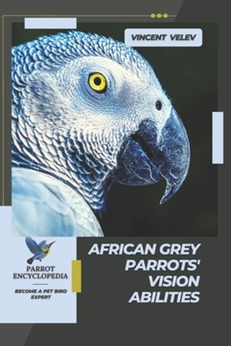 Photo inspiration: Grey Parrot Memory And Cognitive Abilities Reference: African Grey Parrots Vision Abilities