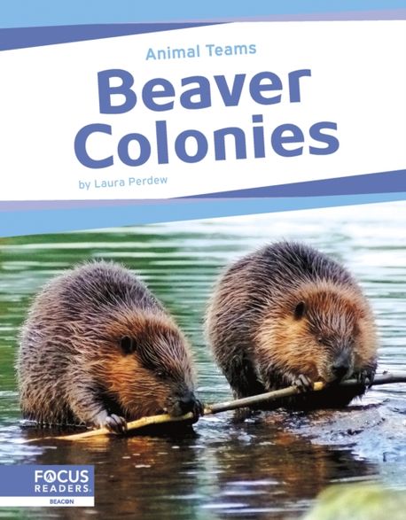 Beaver Colonies | Perdew, Laura - 교보문고