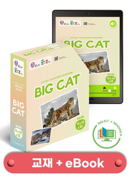 [교재+ebook] 리딩앤 퓨처팩 Big Cat Band11/12/13 (전84권)