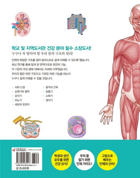 인체 구조 상식사전 | - 교보문고