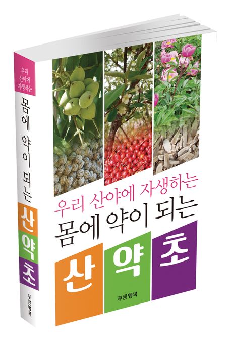 몸에 약이 되는 산약초 부가 이미지1