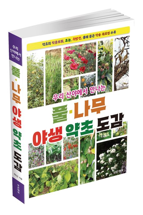 우리 산야에서 만나는 풀·나무 야생 약초 도감 부가 이미지1