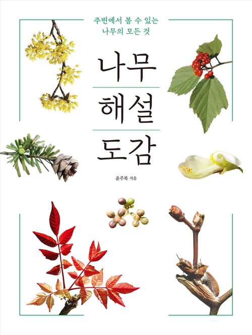 [교보문고] 나무 해설 도감