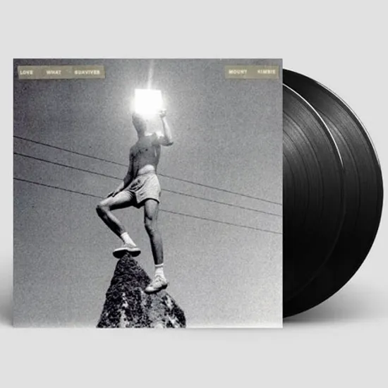 LOVE WHAT SURVIVES [LP]