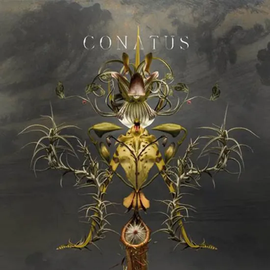 CONATUS [윱 베빙: 코나투스]