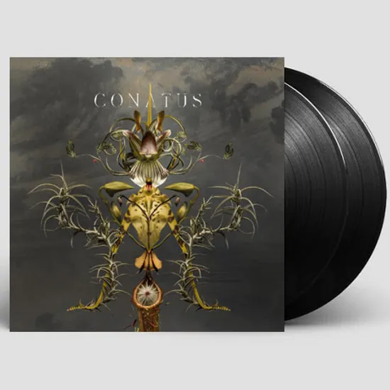 CONATUS [윱 베빙: 코나투스] [LP]