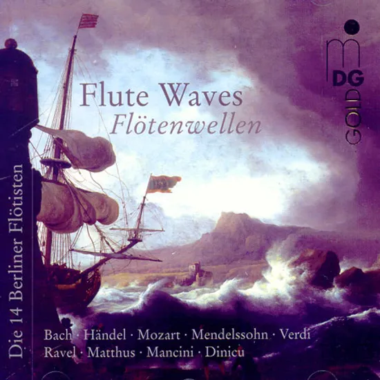 FLUTE WAVES/ DIE 14 BERLINER FLOTISTEN
