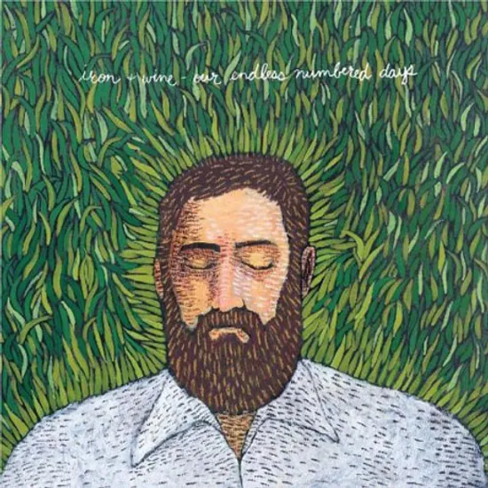 OUR ENDLESS NUMBERED DAYS [LP]