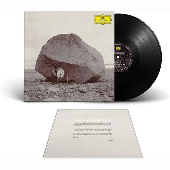 LONGER SHADOWS, SOFTER STONES/ VIKTOR ORRI ARNASON [180G LP] [할그림손: 희망과 치유를 위한 애상어린 선율 - 빅토르 오리 아르나손]