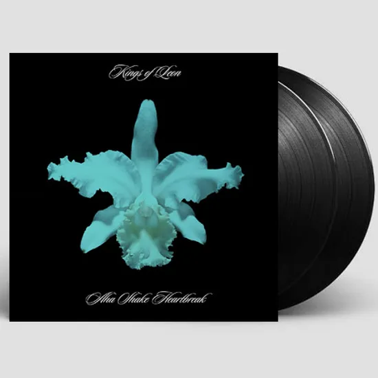 AHA SHAKE HEARTBREAK [180G LP]