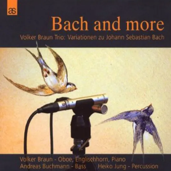 BACH AND MORE/ VOLKER BRAUN TRIO