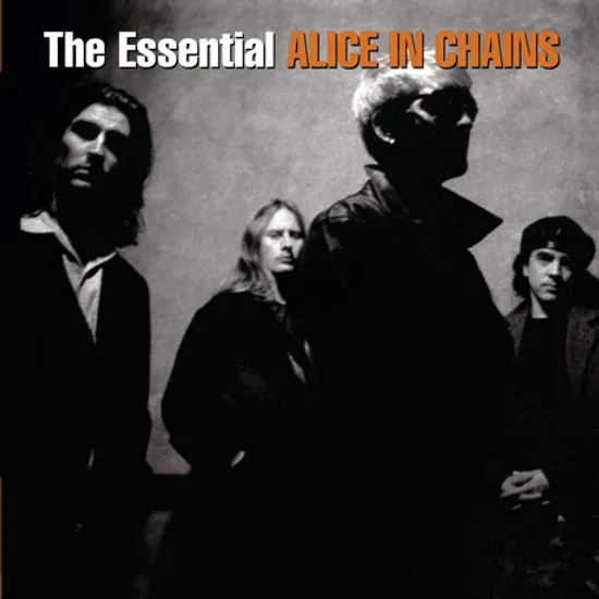 THE ESSENTIAL ALICE IN CHAINS
