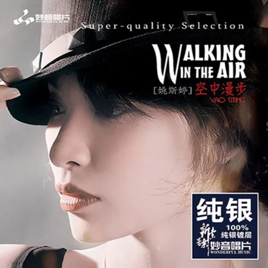 WALKING IN THE AIR [DSD MASTERING] [SILVER ALLOY] [한정반]