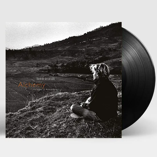 ALCHEMY: AN INDEX OF POSSIBILITIES [180G LP]
