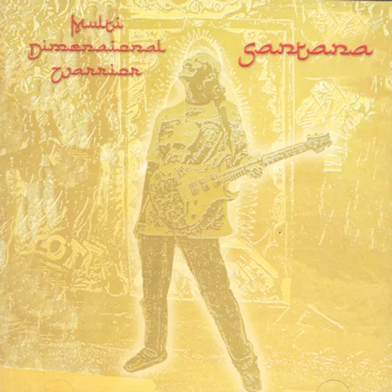 MULTI DIMENSIONAL WARRIOR