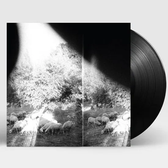 ASUNDER, SWEET AND OTHER [180G LP]