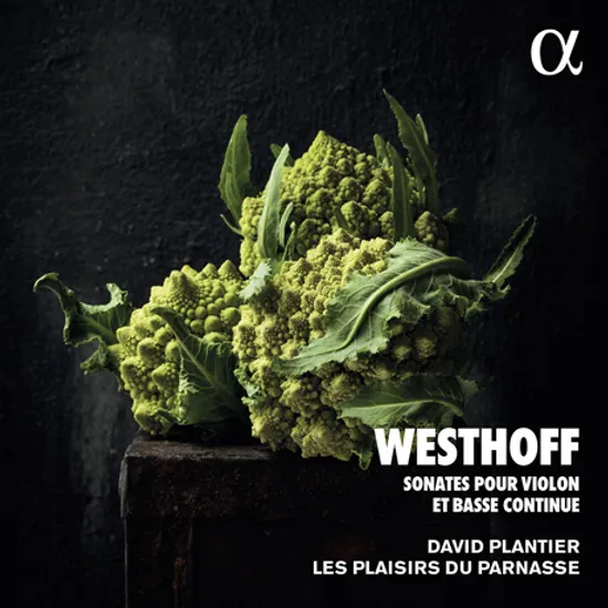 SONATES POUR VIOLON ET BASSE CONTINUE/ LES PLAISIRS DU PARNASSE, DAVID PLANTIER [ALPHA COLLECTION 83] [베스토프: 바이올린과 콘티누오를 위한 소나타 - 레 플레지르 뒤 파르나스, 다비드 플랑티에]