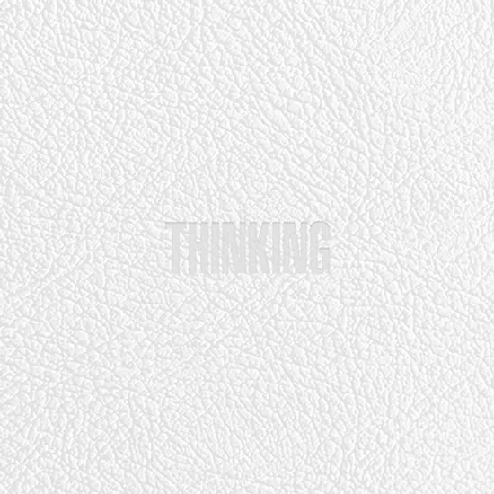 THINKING [정규 1집]