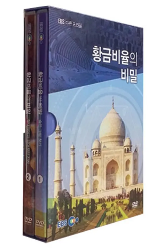 EBS 황금비율의 비밀 [다큐 프라임]