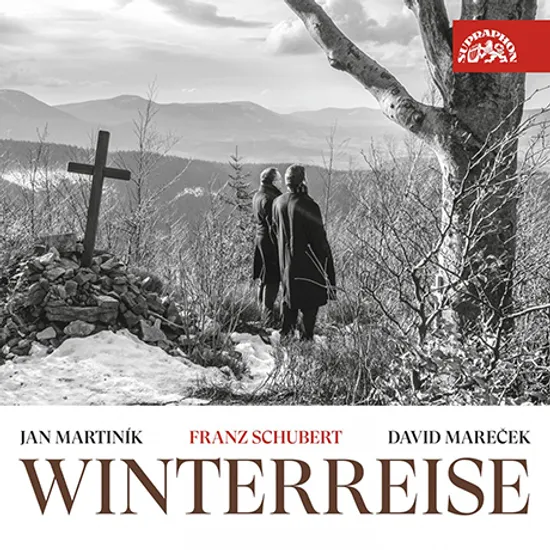 WINTERREISE/ JAN MARTINIK, DAVID MARECEK [슈베르트: 겨울나그네 전곡 - 마르티니크, 마레체크]