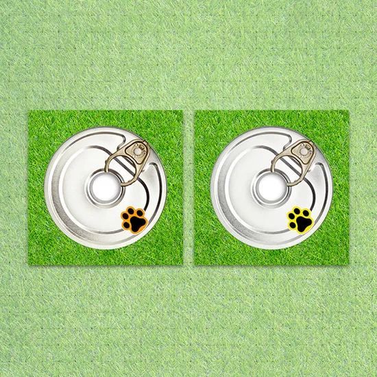 BEING TENDER [미니 3집] [COMPACT VER]