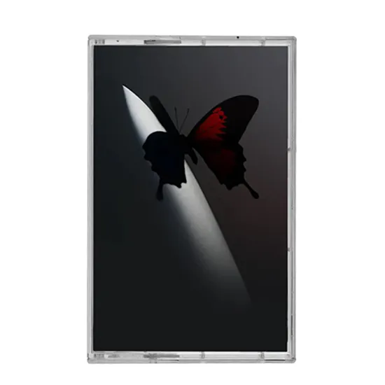 TWELVE CARAT TOOTHACHE [CASSETTE]