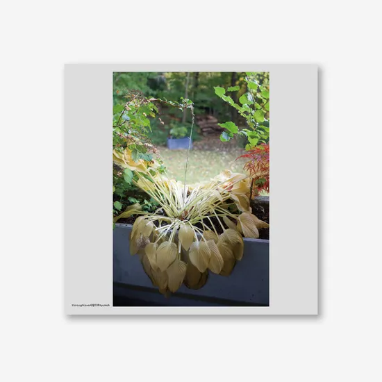 사랑으로 [OPAQUE WHITE LP]