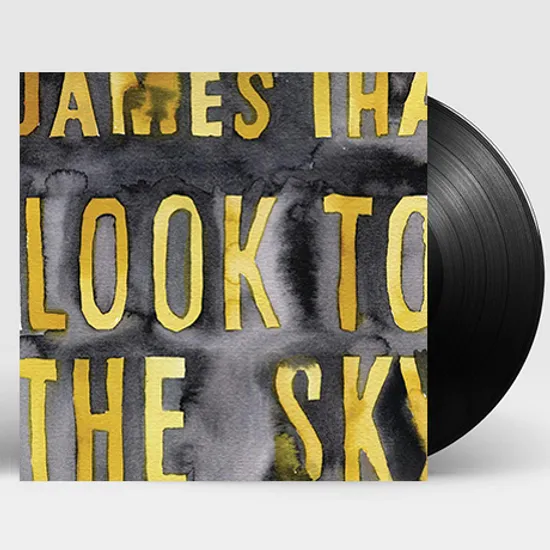 LOOK TO THE SKY [일본 레코드스토어 데이 한정반] [180G LP]