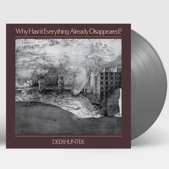 WHY HASN`T EVERYTHING ALREADY DISAPPEARED? [GRAY LP]
