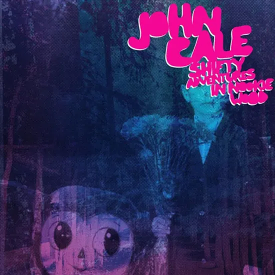 SHIFTY ADVENTURES IN NOOKIE WOOD