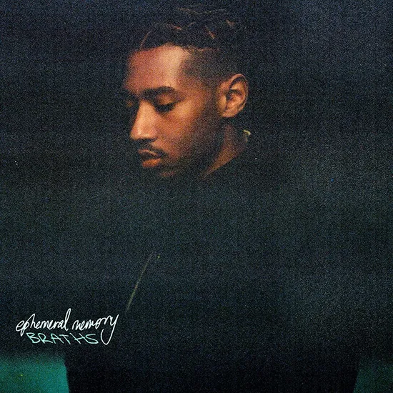 EPHEMERAL MEMORY [LP] [토마스 호레츠코: 덧없는 기억]