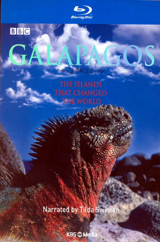 갈라파고스: BBC 다큐멘터리 [12년 6월 이엔이미디어 할인행사]