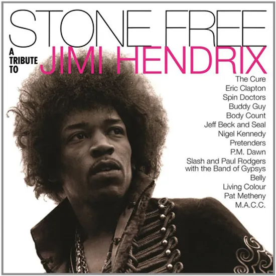 STONE FREE: A TRIBUTE TO JIMI HENDRIX [LIMITED EDITION] [180G LP]