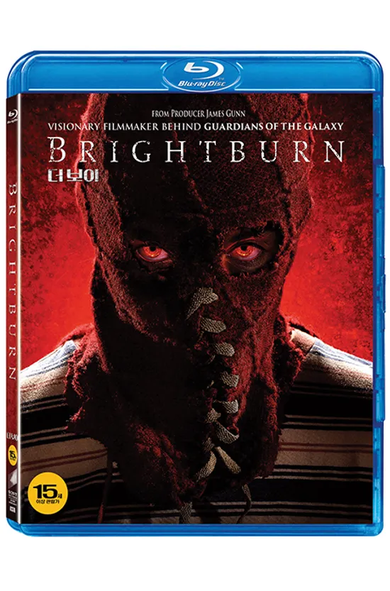 더 보이 [BRIGHTBURN]