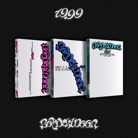 19.99 [미니 3집]
