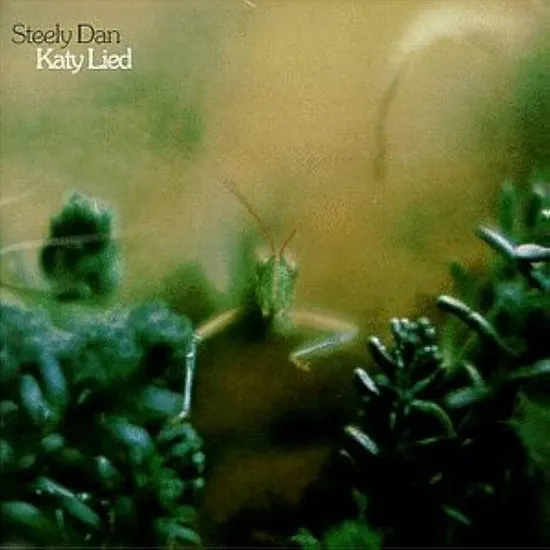 KATY LIED