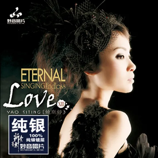 ENDLESS LOVE 13 [SILVER ALLOY] [한정반]