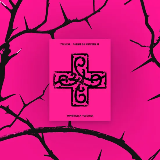 7TH YEAR: 가시덤불에 잠시 바람이 멈췄을 때 [PPULBATU VER]