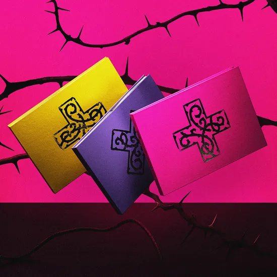 7TH YEAR: 가시덤불에 잠시 바람이 멈췄을 때 [3종 세트]