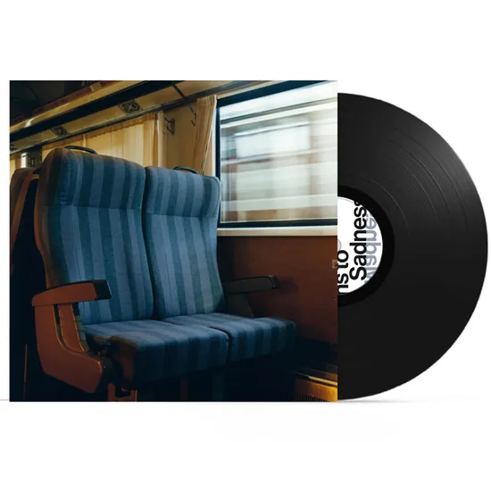 MADNESS ALWAYS TURNS TO SADNESS [LP]