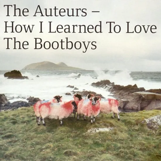 HOW I LEARNED TO LOVE THE BOOTBOYS